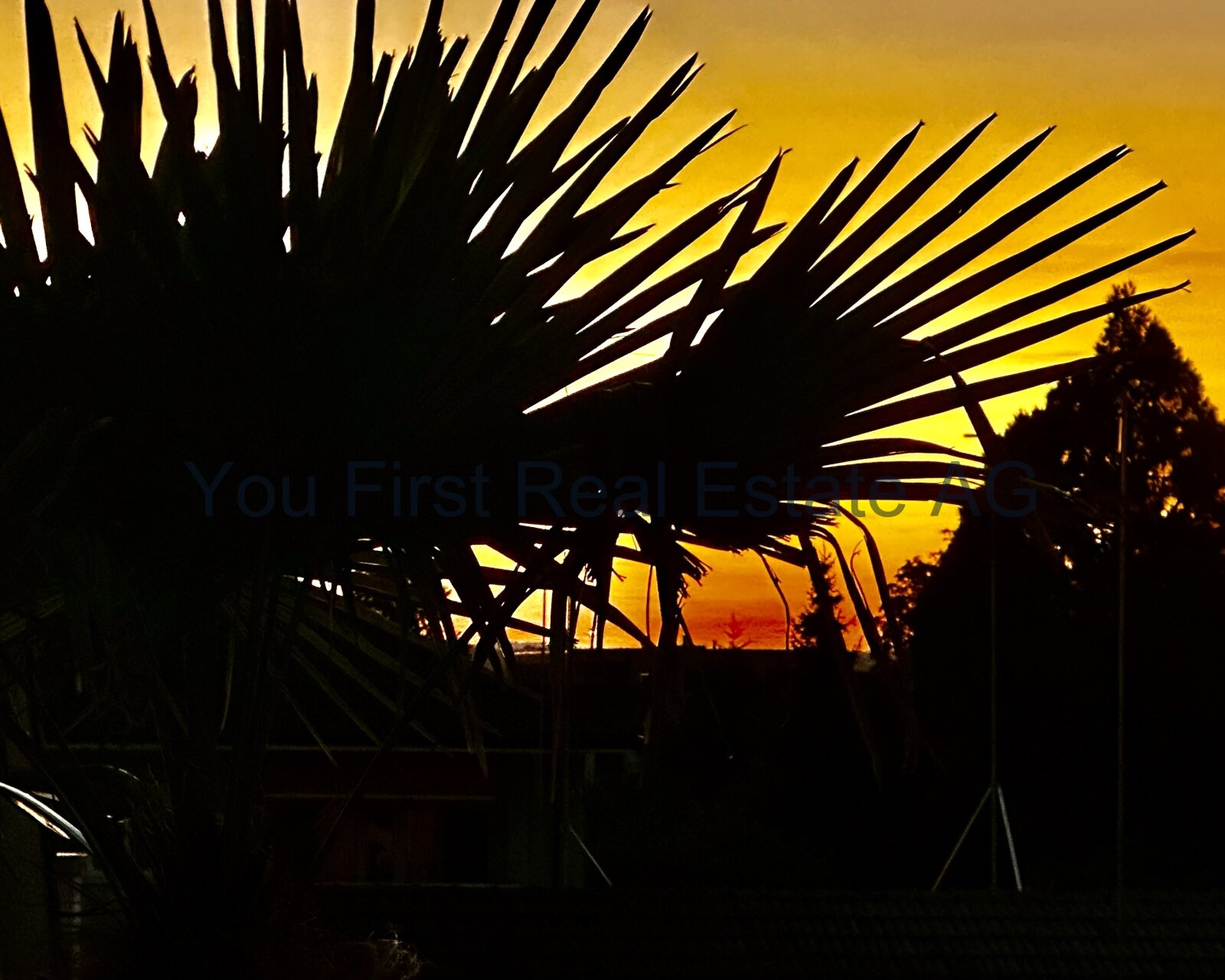Traumhafte Attikawohnung mit Luxus und Weitblick