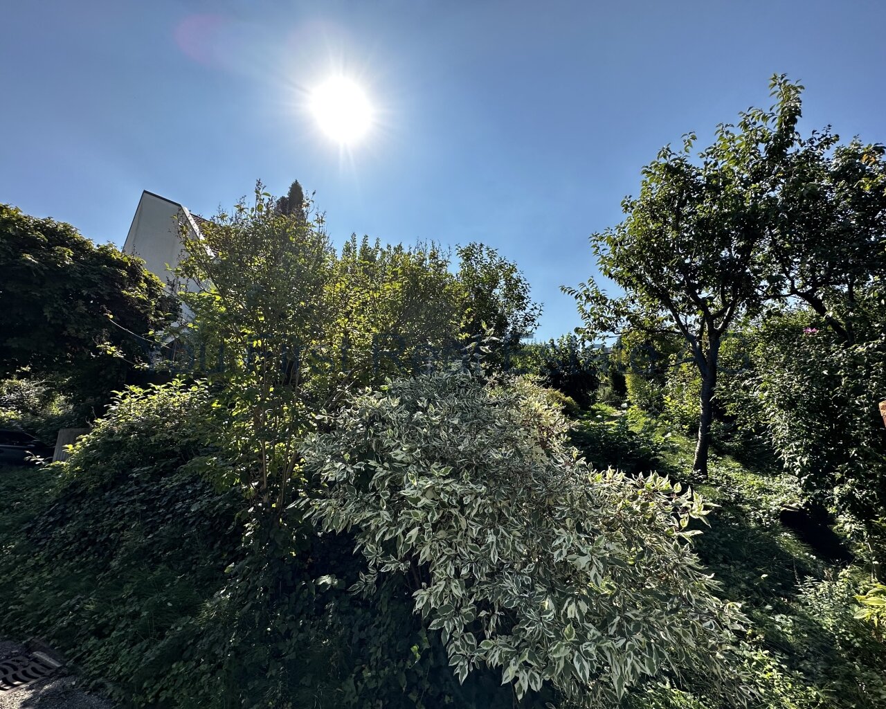 der Sonne entlang 