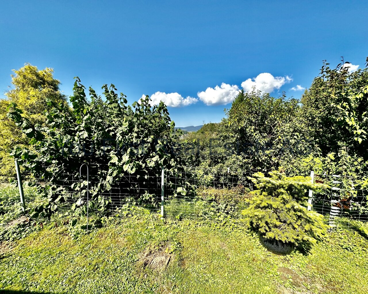 Fernblick 