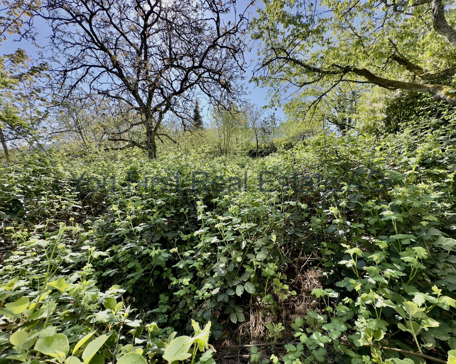 neue Gartengestaltung notwendig