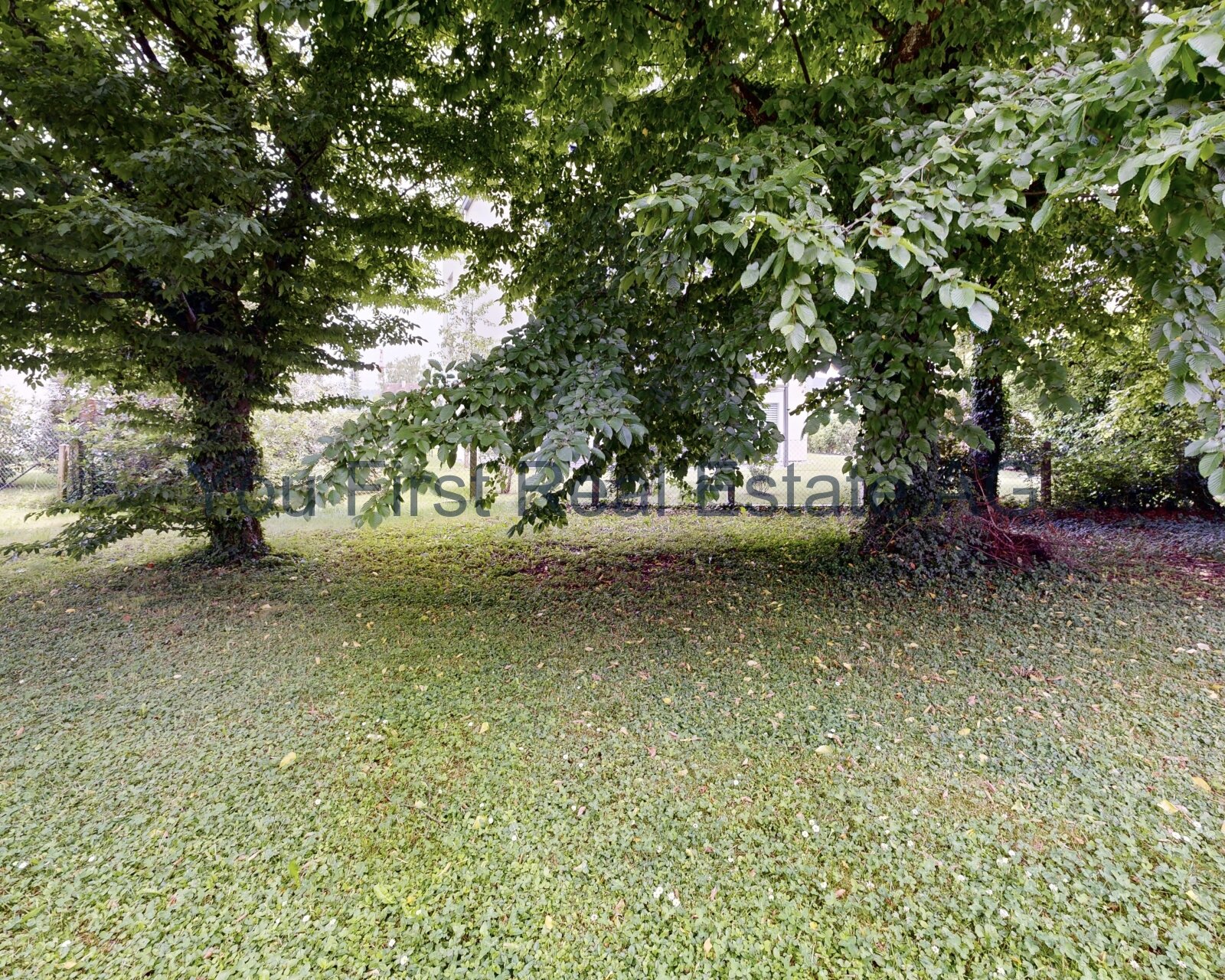 Traumhaftes Baugrundstück mit majestätischem Baumbestand - Ihr Wohntraum wartet!
