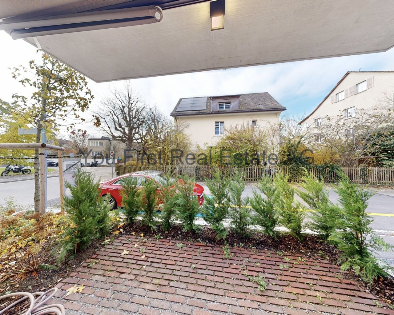 Sichtschutz-Oase: Smarte Bepflanzung mit Privatsphäre-Garantie